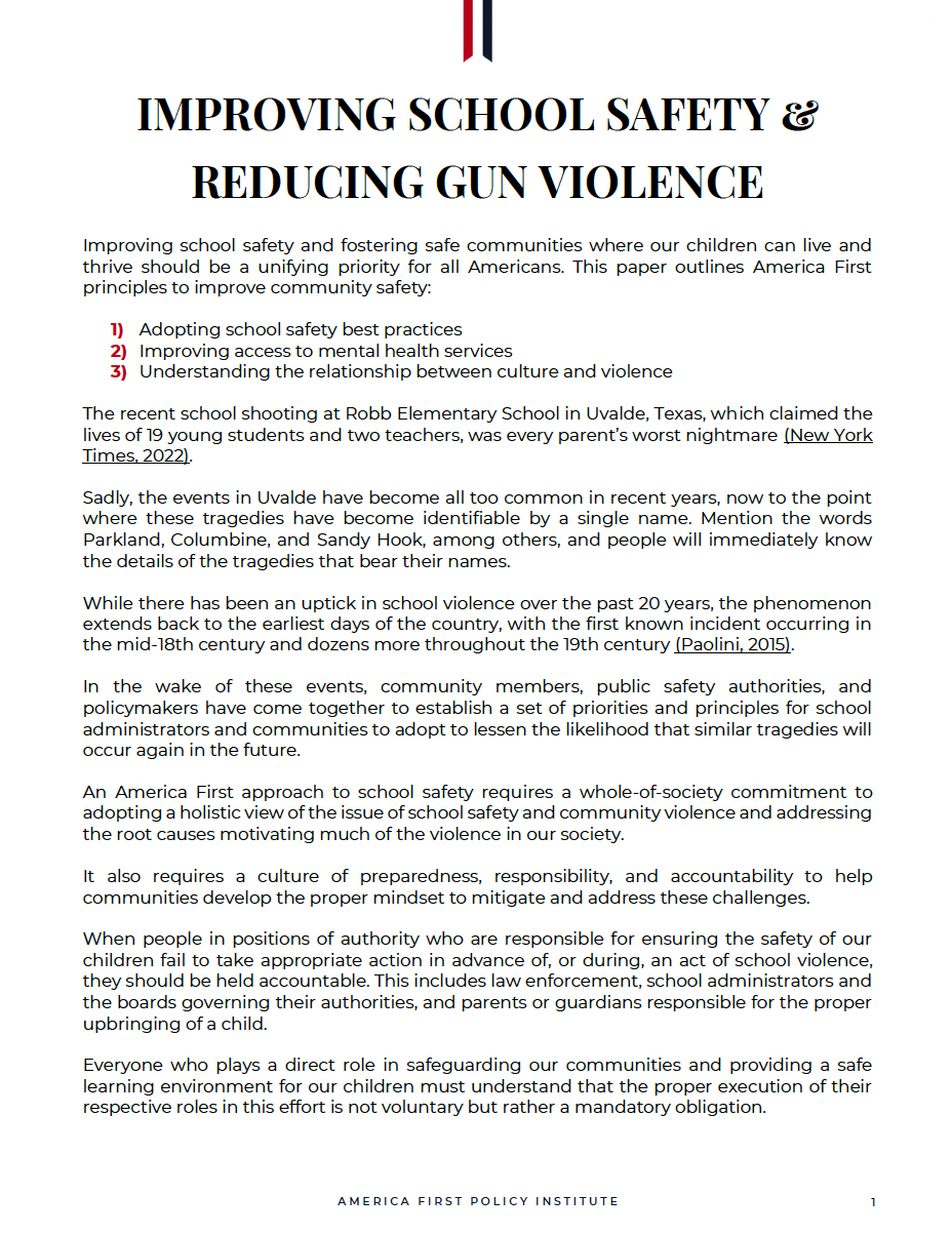 research paper on school violence