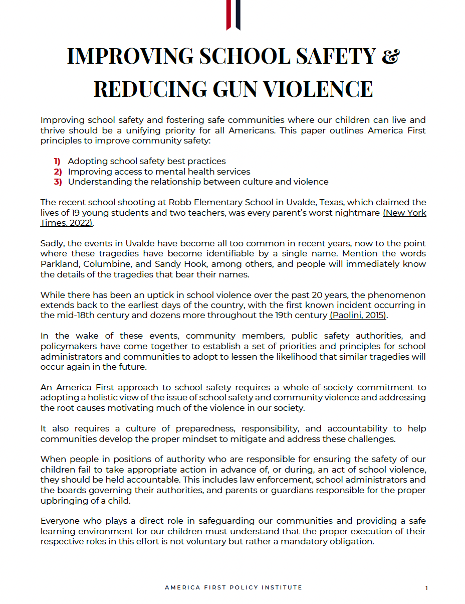 gun violence in school essay